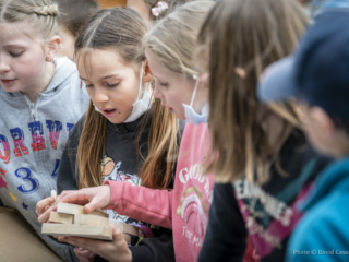 Les Bambins des Bois – Animation EAS