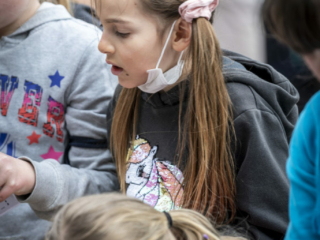 Les Bambins des Bois – Animation EAS