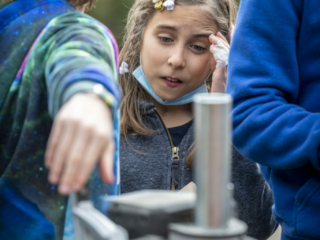 Les Bambins des Bois – Animation EAS